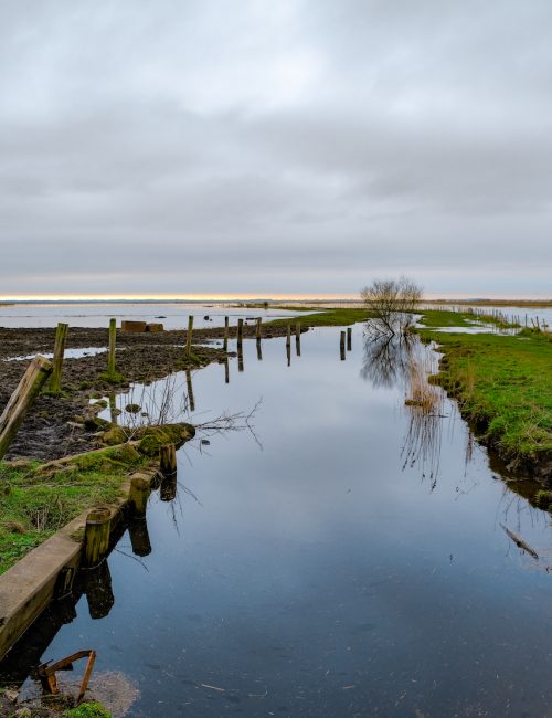 Balade Loire Atlantique Marais de Brière