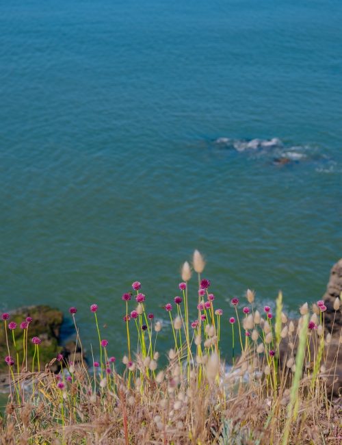 balade-saint-nazaire-pornichet-37-2