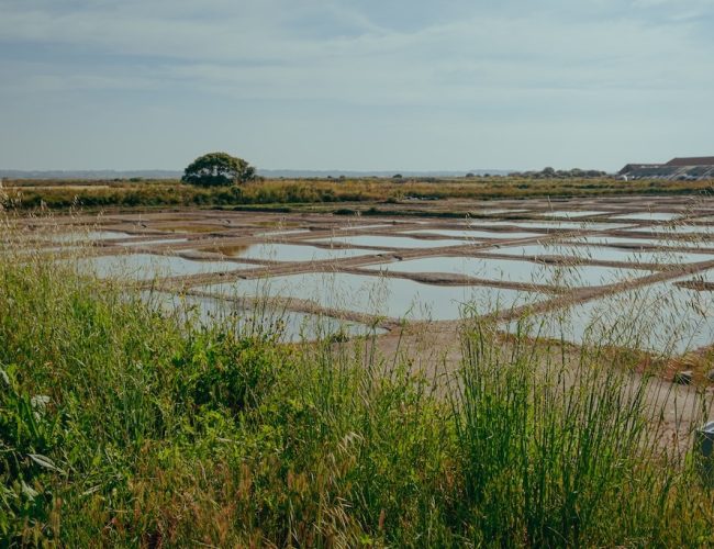 Natursel - Visite marais salants