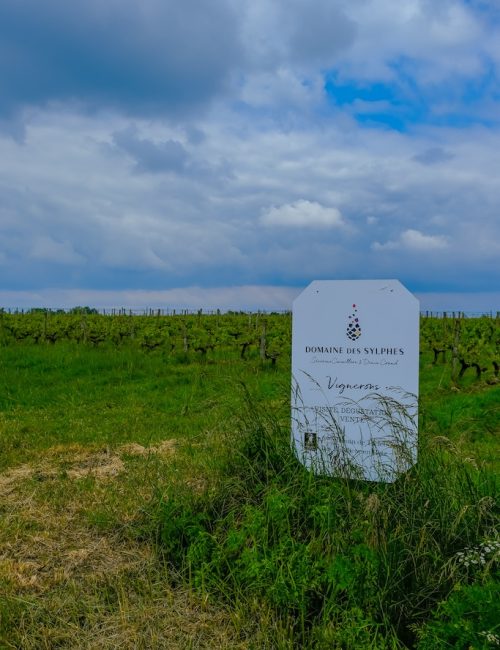 Vignes Domaine de Sylphes