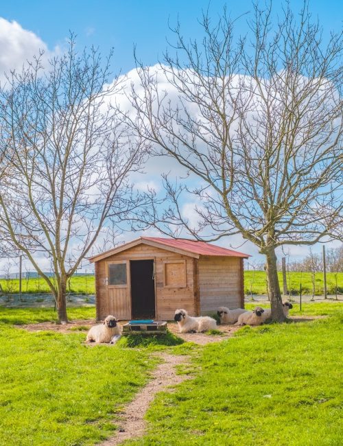 domaine-de-la-haye-24