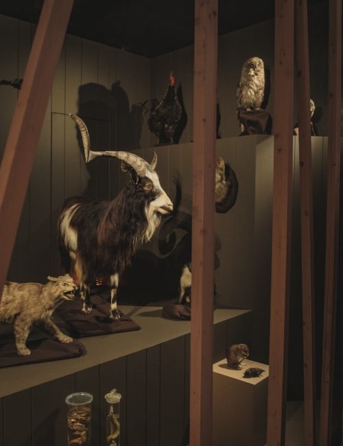 Sorcières exposition nantes