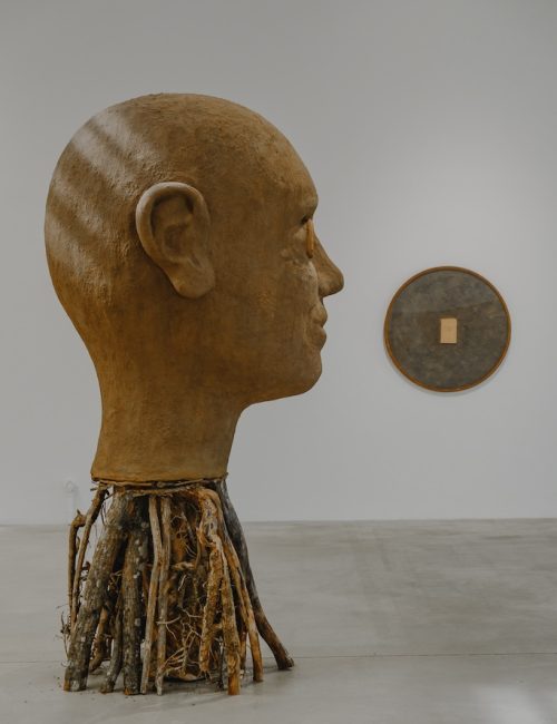 Gloria Friedmann Hab Galerie 2025