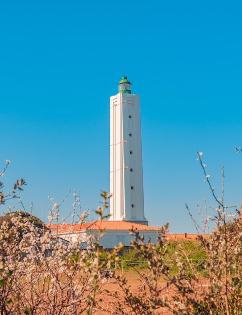 Le Grand Phare