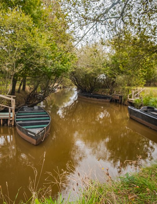 Marais de Brière Loire Atlantique