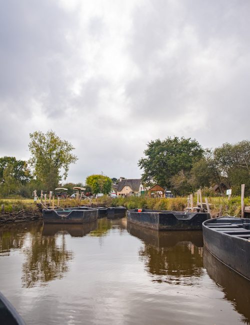 Marais de Brière Loire Atlantique