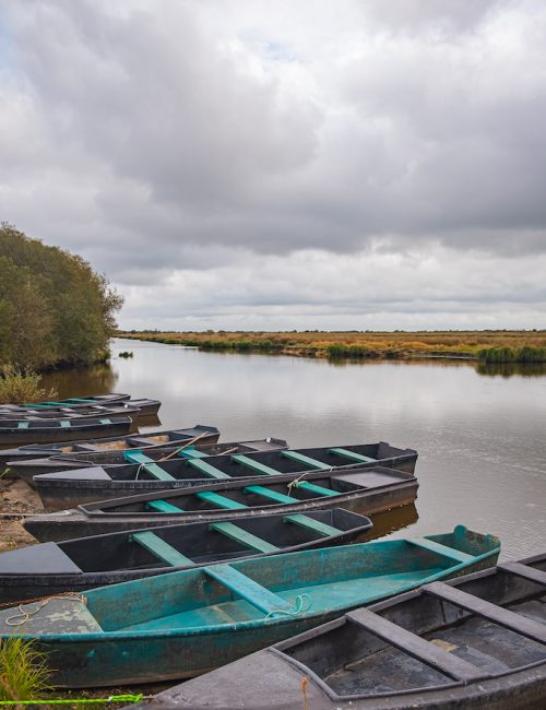 Marais de Brière Loire Atlantique