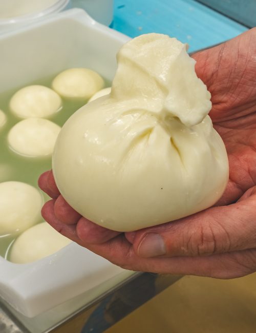 Fabrication Mozzarelle