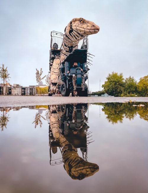 Varan de voyage Nantes