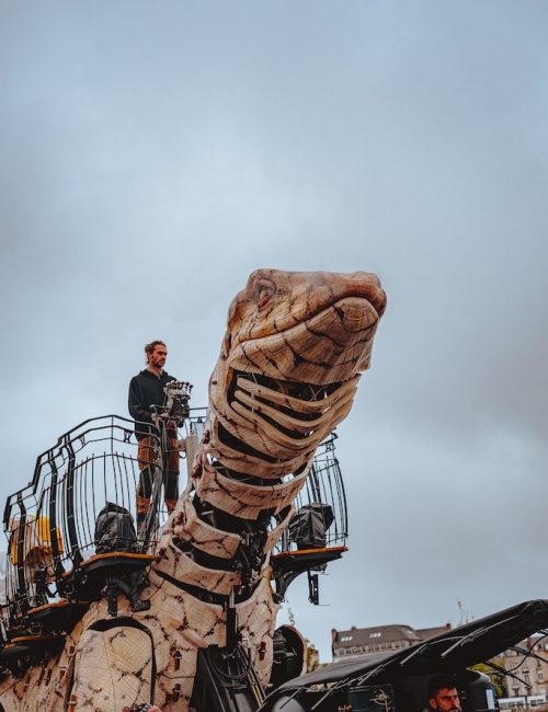 Varan Machine