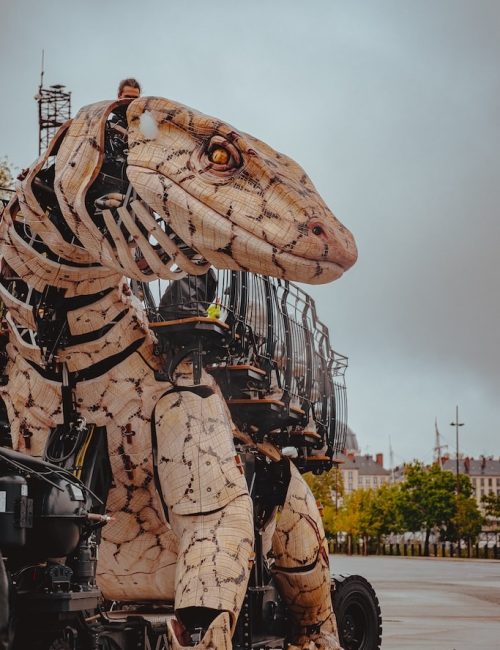Nantes Varan