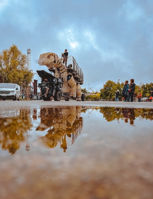 Varan de Voyage Calais