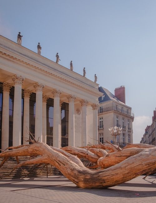 Le rêve de Fitzcarraldo HENRIQUE OLIVEIRA