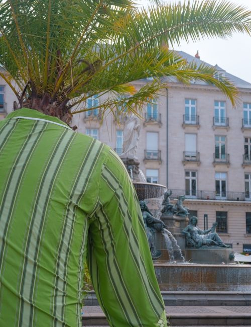 L'enfant Hybridus, Jean-François Fourtou