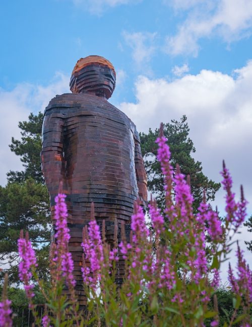 L’Homme de bois FABRICE HYBER