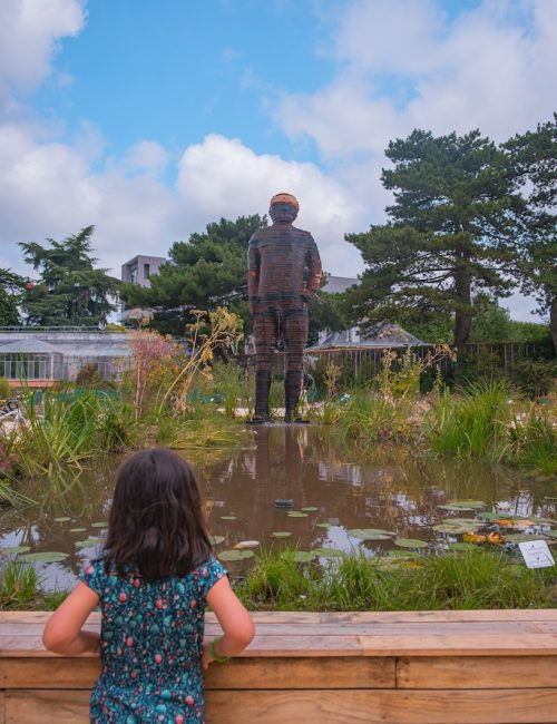 L’Homme de bois FABRICE HYBER