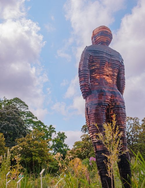 L’Homme de bois FABRICE HYBER