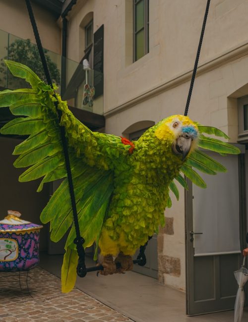 Vies de bêtes éléonore Saintagnan nantes