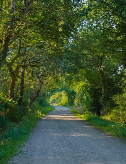 Balade campagne