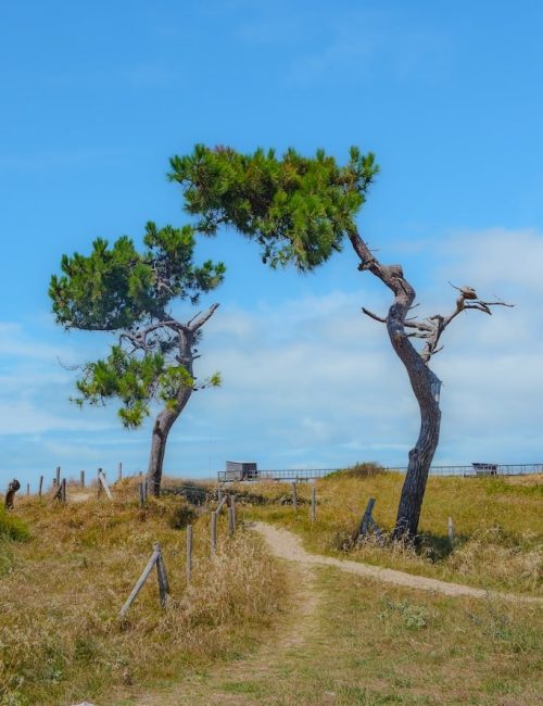 balade nature les moutiers en retz