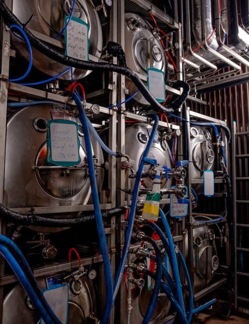 Little Atlantique Brewery Nantes