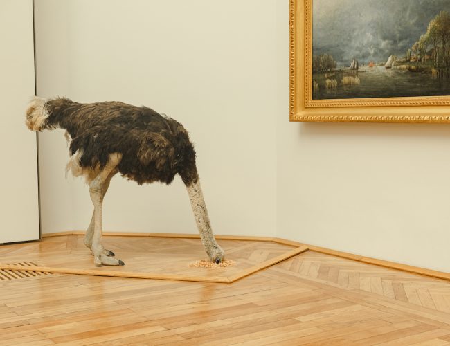 Oeuvre Maurizio Cattelan - Sans titre