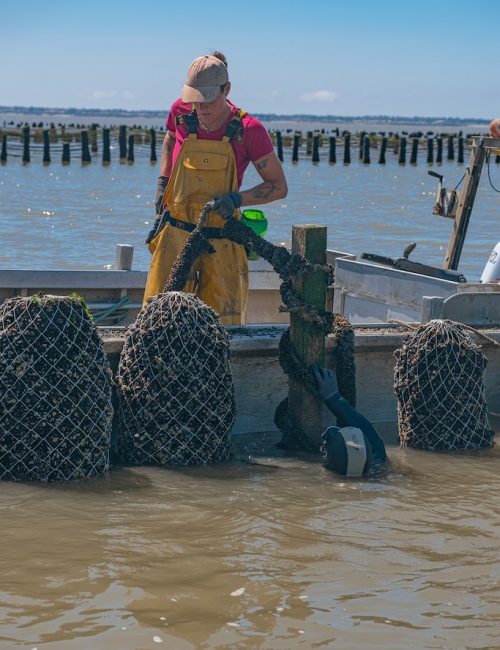 mytiliculture-la-plaine-sur-mer-25