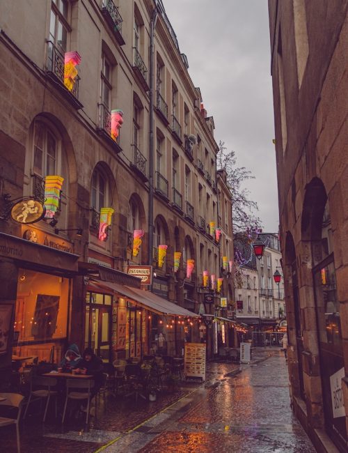 Le Voyage en Hiver