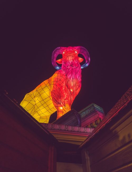 vincent olinet nantes