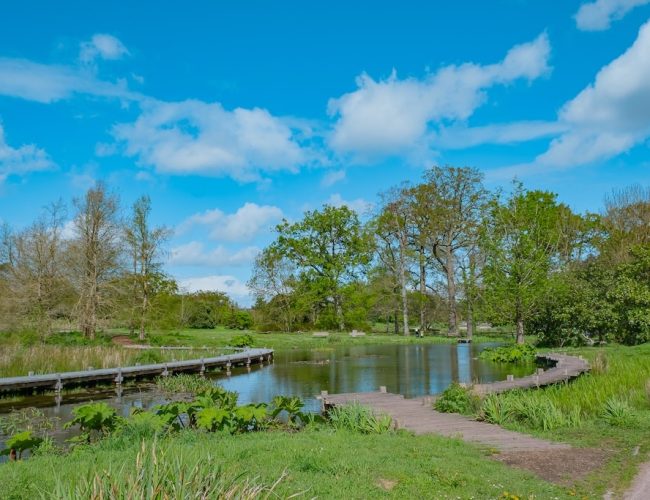 Balade parc du Grand Blottereau