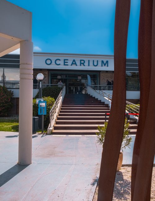 ocearium-le-croisic-69