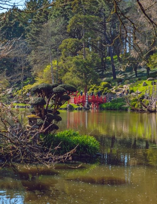 Jardin japonais cholet