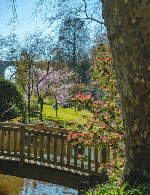 jardin japonais maulévrier