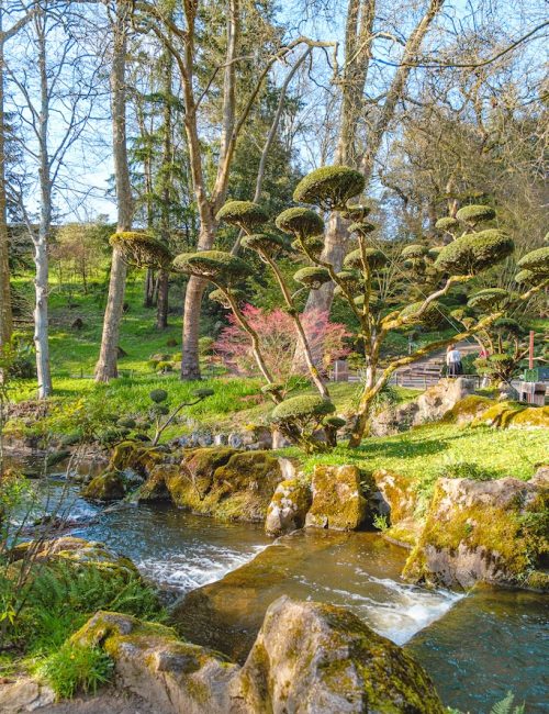 décor jardin japonais