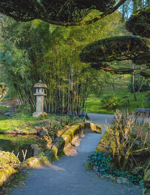 Parc japonais maulévrier