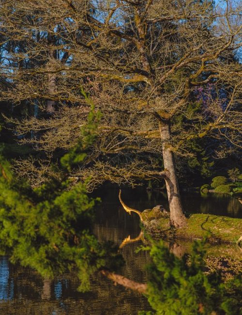 visite parc maulévrier