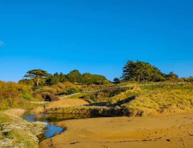 Plage de l'étang