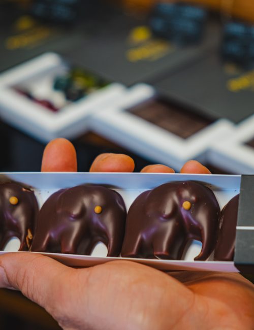 Pyctogramme Chocolaterie Loire-Atlantique