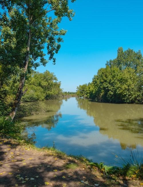 Rivière L'Acheneau