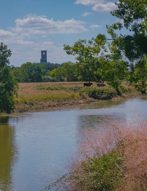 Canal de Buzay Rouans