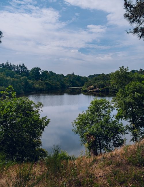 Etang de la forge neuve