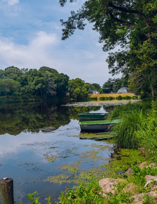 etang des forges