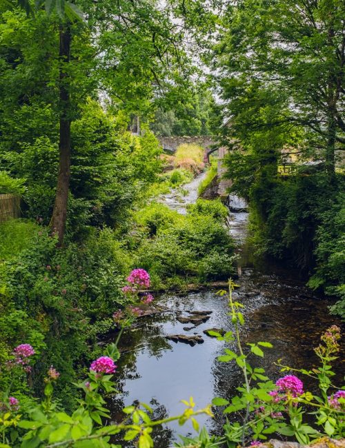 forges maisdon la rivière