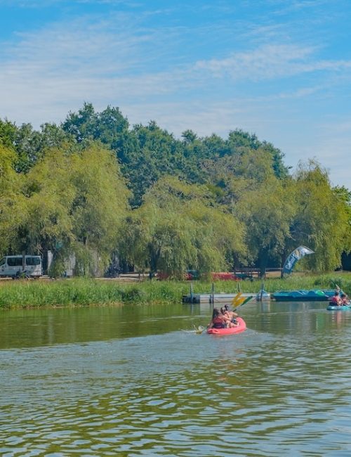 canoe bout de bois