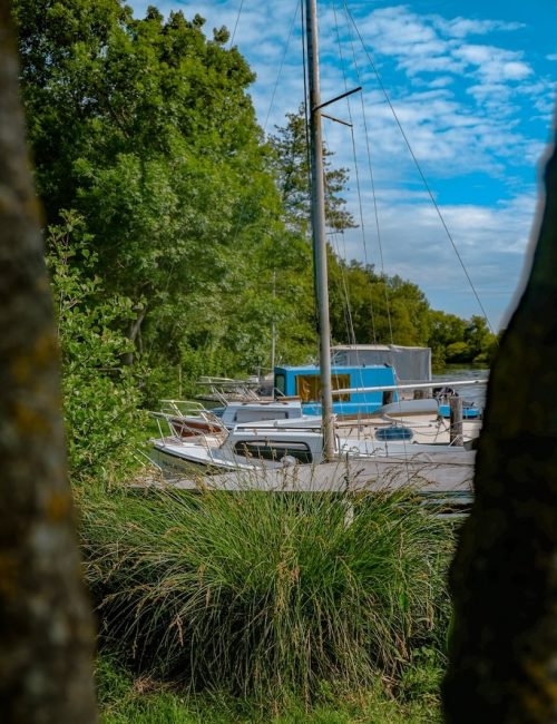 Balade Nort-sur-Erdre