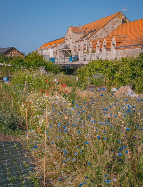 Ferme florale pornic