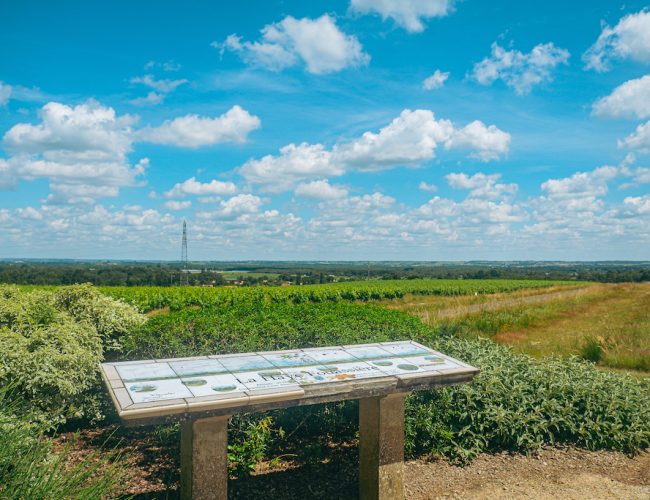 La Haye-Fouassière, colline de Bellevue