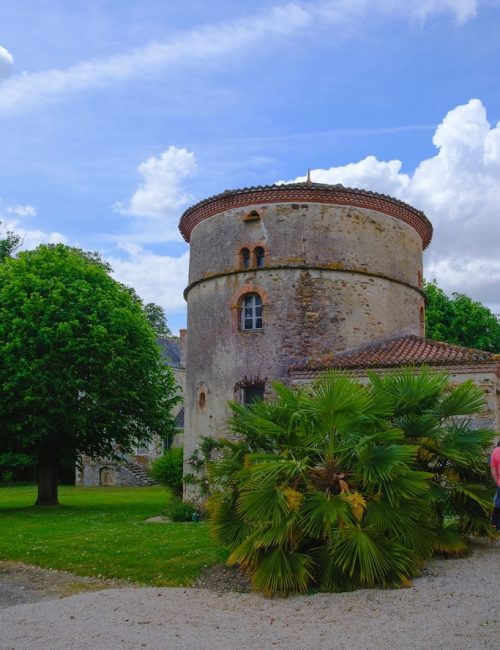 vignoble-de-nantes-wine-tour-04
