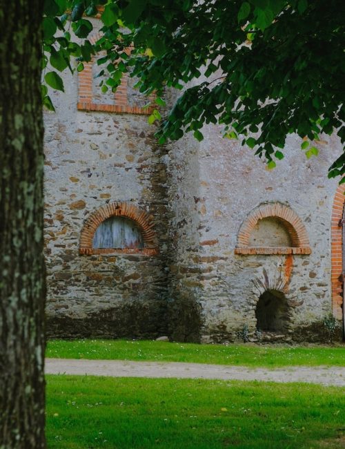 vignoble-de-nantes-wine-tour-08