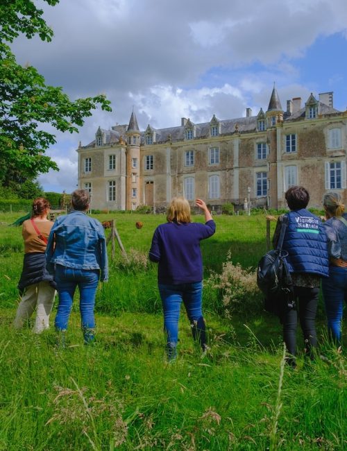 visite chateau du coing